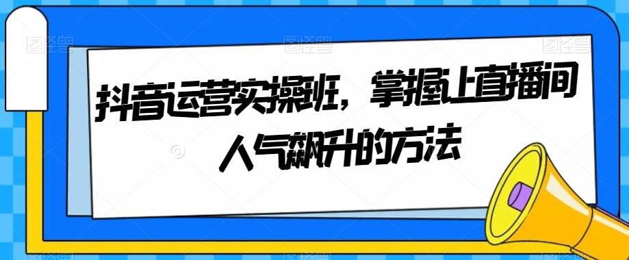 抖音运营实操班，掌握让直播间人气飙升的方法-副业网创