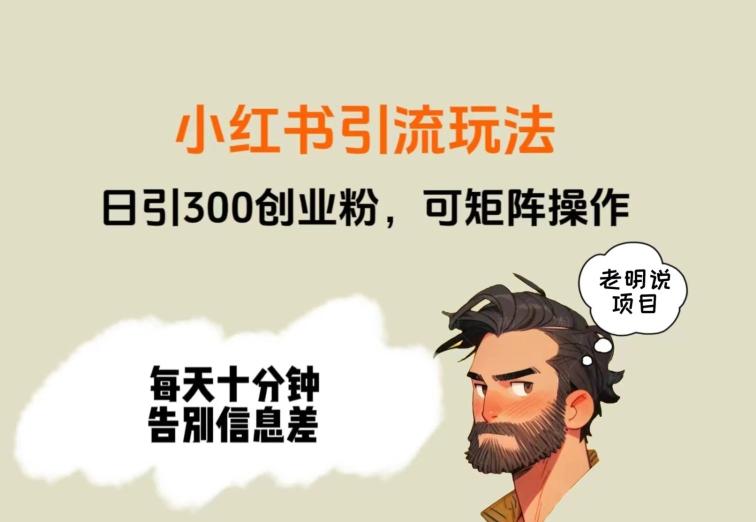 靠小红书视频日印300粉，两分钟一个视频轻松矩阵-副业网创