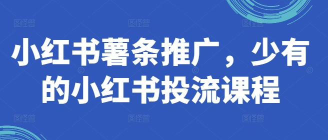 小红书薯条推广，少有的小红书投流课程-副业网创