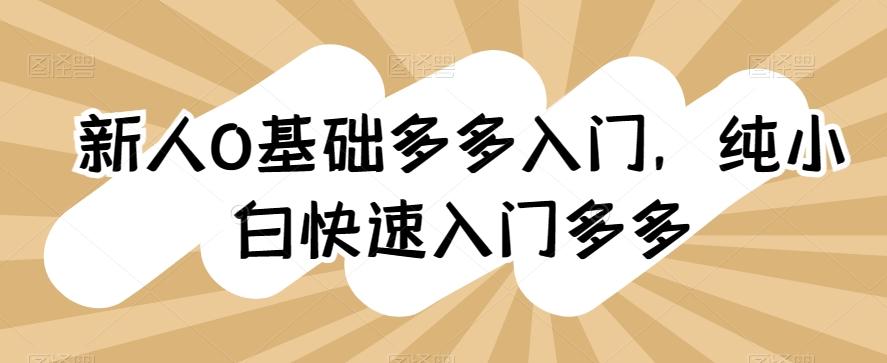 新人0基础多多入门，​纯小白快速入门多多-副业网创
