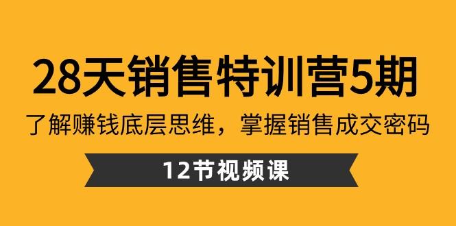 28天销售特训营5期：了解赚钱底层思维，掌握销售成交密码（12节课）-副业网创