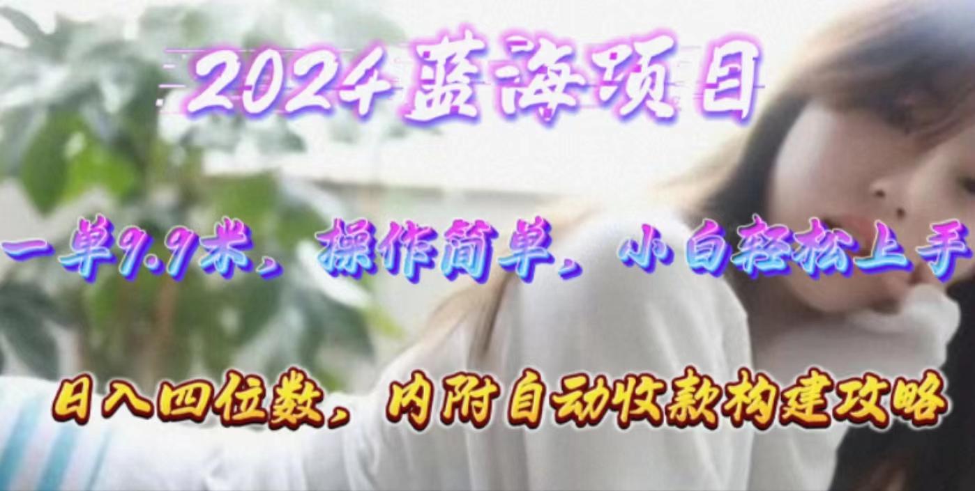 年轻群体的蓝海市场，1单9.9元，操作简单，小白轻松上手，日入四位数-副业网创