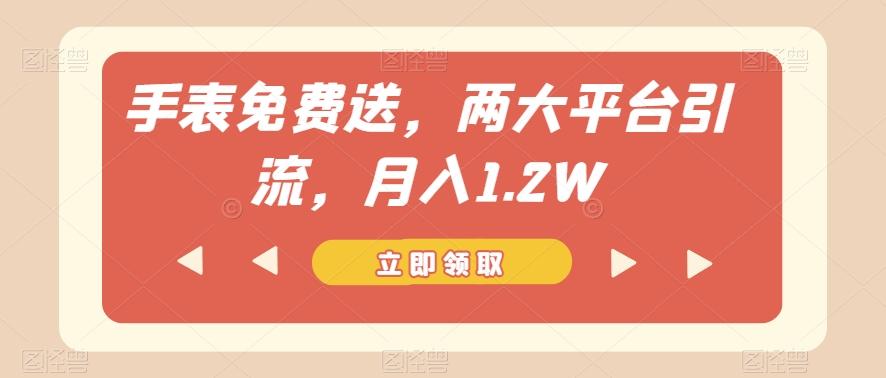 手表免费送，两大平台引流，月入1.2W【揭秘】-副业网创