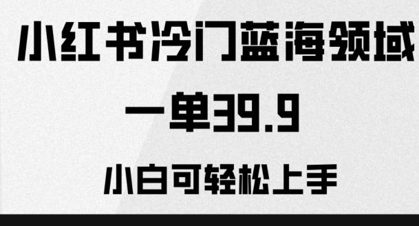 小红书冷门蓝海领域，一单39.9，小白可轻松上手-副业网创
