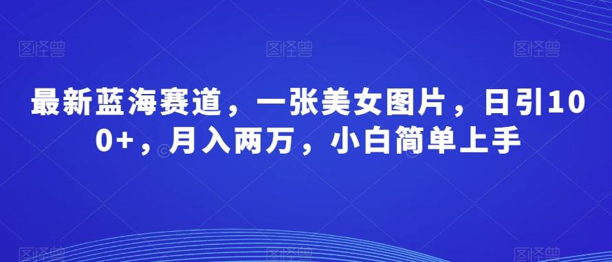 最新蓝海赛道，一张美女图片，日引100+，月入两万，小白简单上手-副业网创