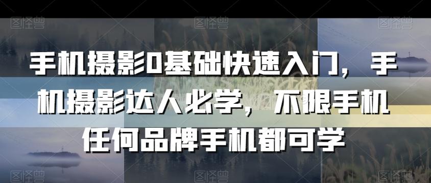 手机摄影0基础快速入门，手机摄影达人必学，不限手机任何品牌手机都可学-副业网创