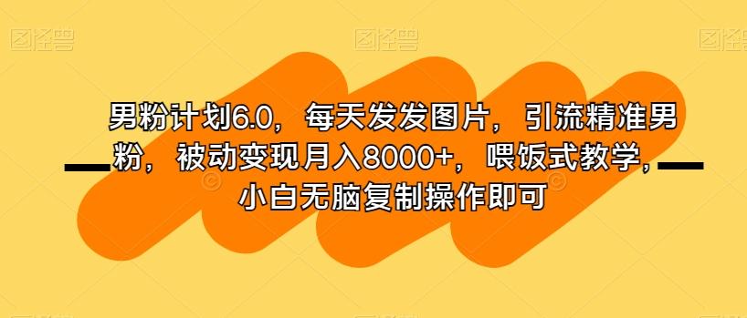 男粉计划6.0，每天发发图片，引流精准男粉，被动变现月入8000+，喂饭式教学，小白无脑复制操作即可-副业网创