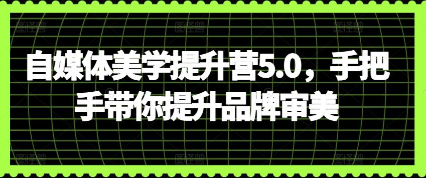 自媒体美学提升营5.0，手把手带你提升品牌审美-副业网创