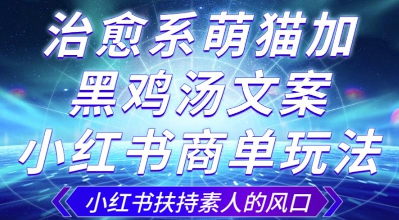 治愈系萌猫加+黑鸡汤文案，小红书商单玩法，3~10天涨到1000粉，一单200左右-副业网创
