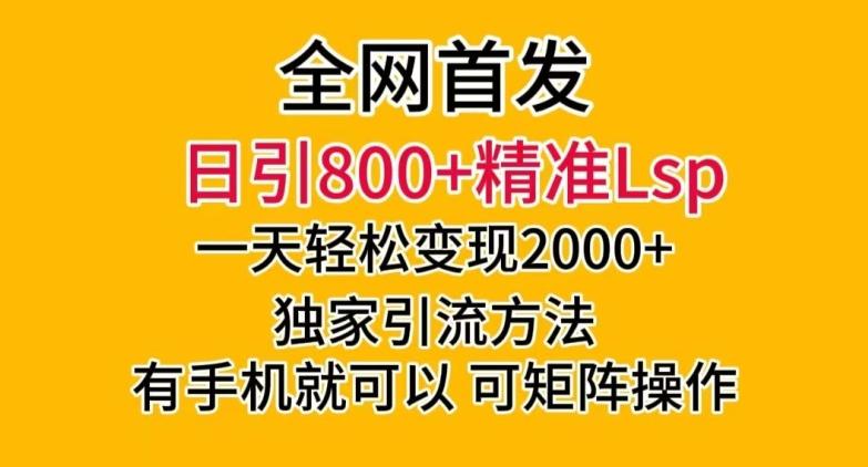 全网首发！日引800+精准老色批，一天变现2000+，独家引流方法，可矩阵操作【揭秘】-副业网创