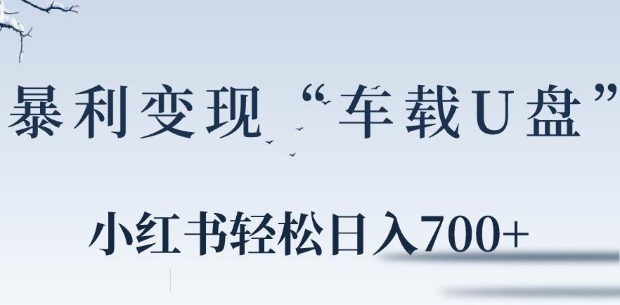 小红书“车载U盘”暴利引流，日入700+-副业网创