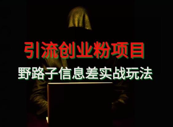 【引流创业粉】野路子信息差玩法实战教学-副业网创