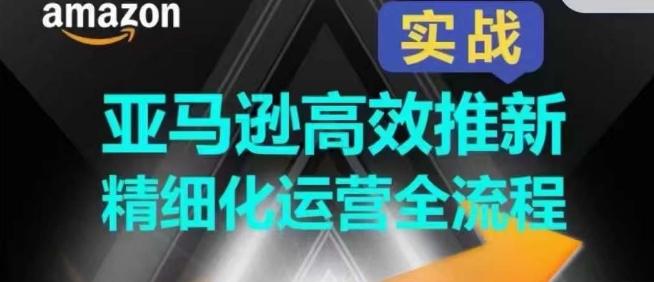 亚马逊高效推新精细化运营全流程，全方位、快速拉升产品排名和销量!-副业网创