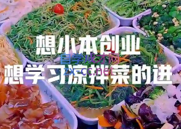 李记·精品凉拌菜系列热卤系列教程-副业网创