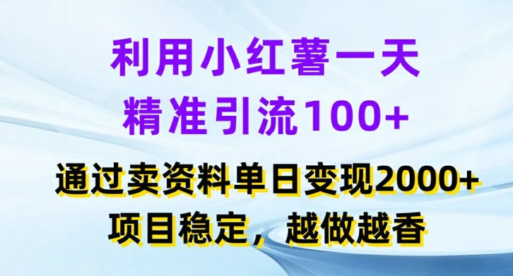 利用小红书一天精准引流100+，通过卖项目单日变现2k+，项目稳定，越做越香【揭秘】-副业网创