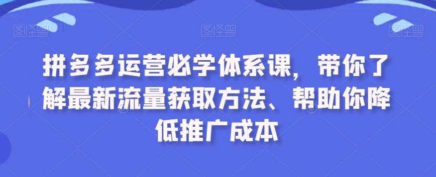 拼多多运营必学体系课，带你了解最新流量获取方法、帮助你降低推广成本-副业网创
