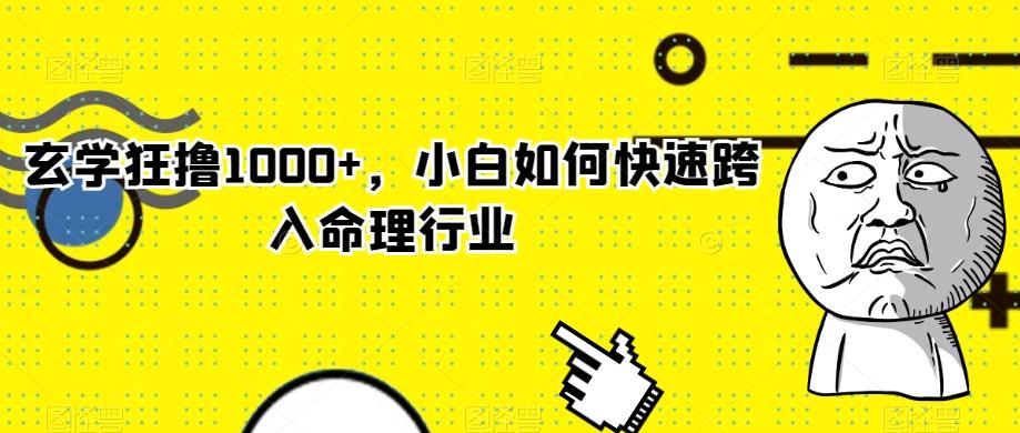 玄学狂撸1000+，小白如何快速跨入命理行业-副业网创