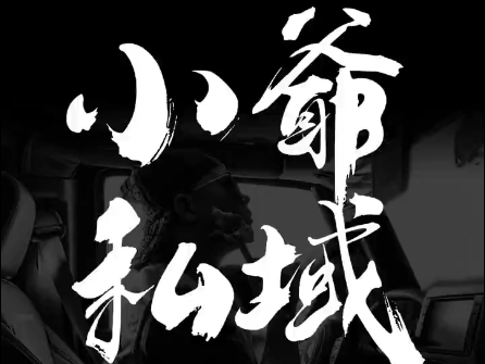 小爷·私域项目操盘手-副业网创