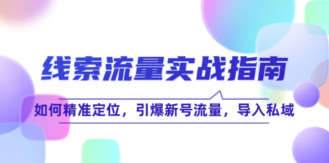 线 索 流 量-实战指南：如何精准定位，引爆新号流量，导入私域-副业网创
