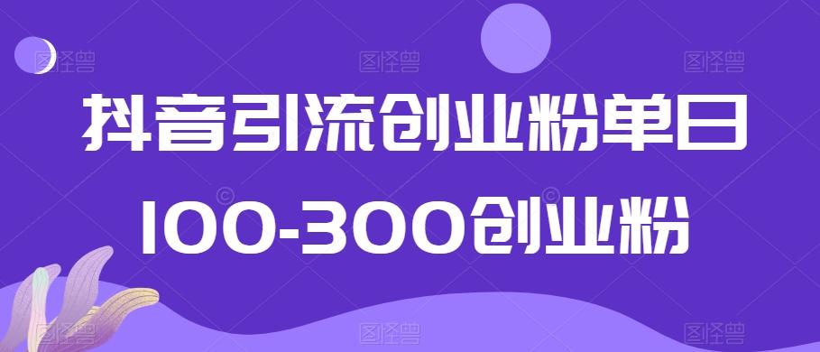 抖音引流创业粉单日100-300创业粉【揭秘】-副业网创
