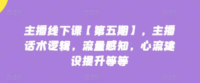 主播线下课【第五期】，主播话术逻辑，流量感知，心流建设提升等等-副业网创