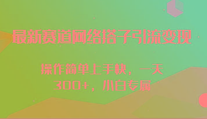 最新赛道网络搭子引流变现!!操作简单上手快，一天300+，小白专属-副业网创