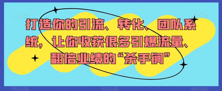 打造你的引流、转化、团队系统，让你收获很多引爆流量、翻倍业绩的“杀手锏”-副业网创
