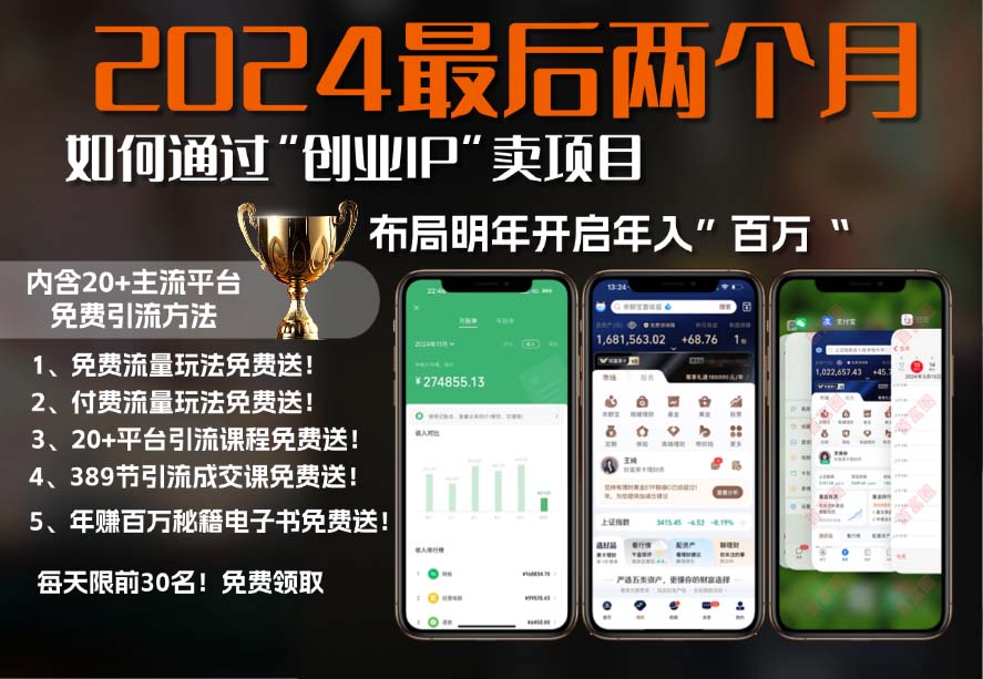 2024最后两个月如何通过”创业IP“卖项目年入”百万“,创业IP+最强引流…-副业网创