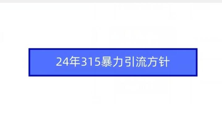 24年315暴力引流方针-副业网创