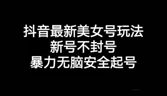 抖音最新美女号玩法，新号不封号，暴力无脑安全起号【揭秘】-副业网创