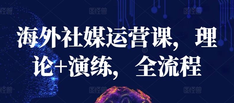 海外社媒运营课，理论+演练，全流程-副业网创