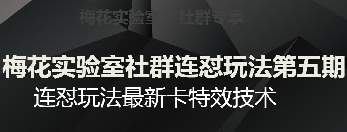 梅花实验室社群连怼玩法第五期，视频号连怼玩法最新卡特效技术-副业网创