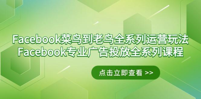 Facebook-菜鸟到老鸟全系列运营玩法+Facebook-专业广告投放全系列课程-副业网创