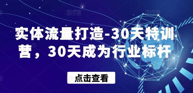 实体流量打造-30天特训营，30天成为行业标杆-副业网创