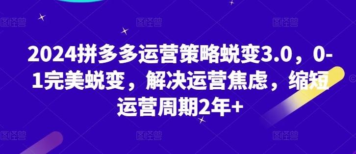 2024拼多多运营策略蜕变3.0，0-1完美蜕变，解决运营焦虑，缩短运营周期2年+-副业网创