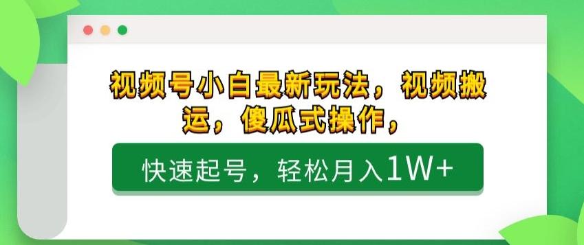 视频号小白最新玩法，视频搬运，傻瓜式操作，快速起号，轻松月入1W+-副业网创