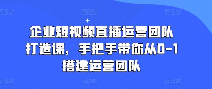 企业短视频直播运营团队打造课，手把手带你从0-1搭建运营团队-副业网创