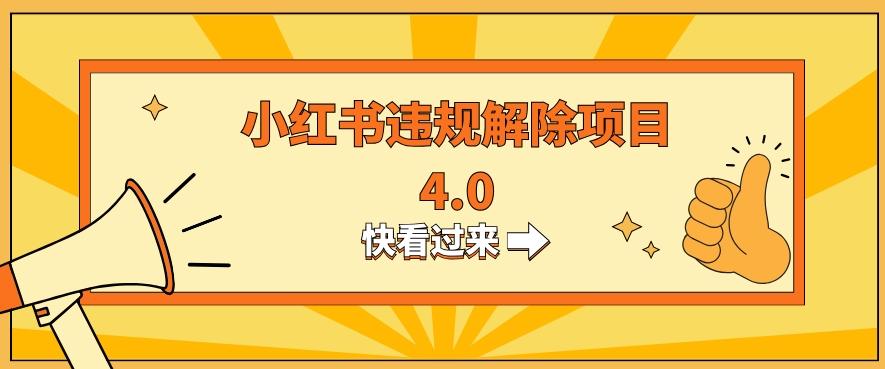 小红书违规掘金蓝海项目，日入800+（附带引流办法及解除办法）-副业网创