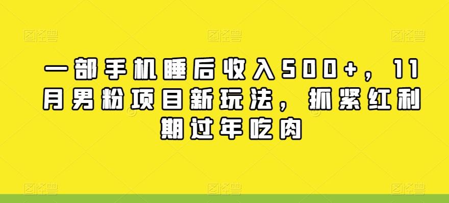 一部手机睡后收入500+，11月男粉项目新玩法，抓紧红利期过年吃肉-副业网创