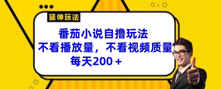 番茄小说自撸玩法，不看播放量，不看视频质量，每天200+【揭秘】-副业网创