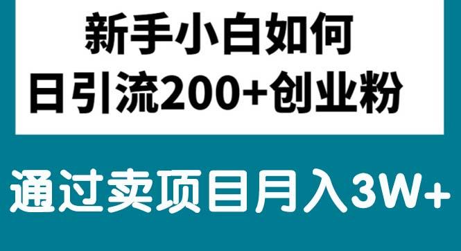 新手小白日引流200+创业粉,通过卖项目月入3W+-副业网创