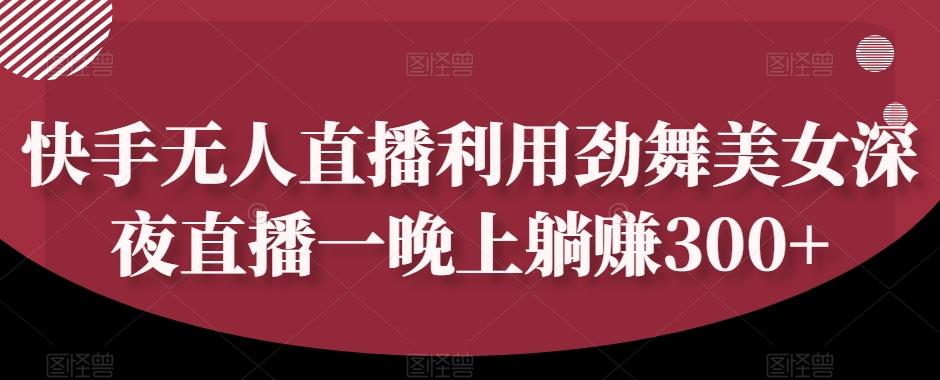快手无人直播利用劲舞美女深夜直播一晚上躺赚300+-副业网创