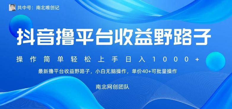 最新撸抖音平台收益野路子，操作简单，单价高，小白可无脑操作可日入1000+-副业网创