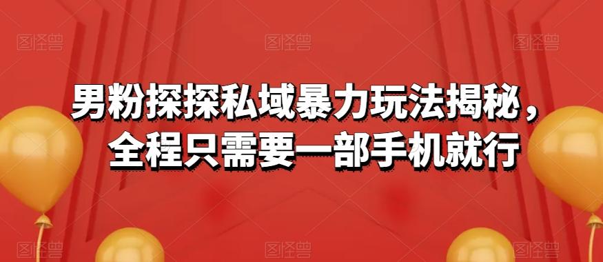 男粉探探私域暴力玩法揭秘，全程只需要一部手机就行-副业网创
