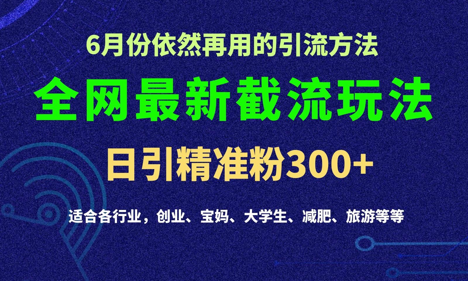 2024全网最新截留玩法，每日引流突破300+-副业网创