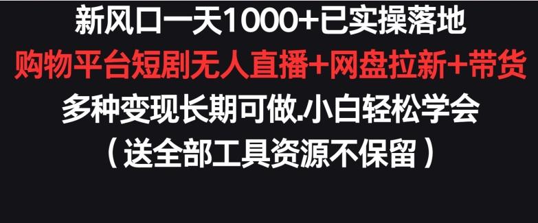 新风口一天1000+已实操落地购物平台短剧无人直播+网盘拉新+带货多种变现长期可做【揭秘】-副业网创