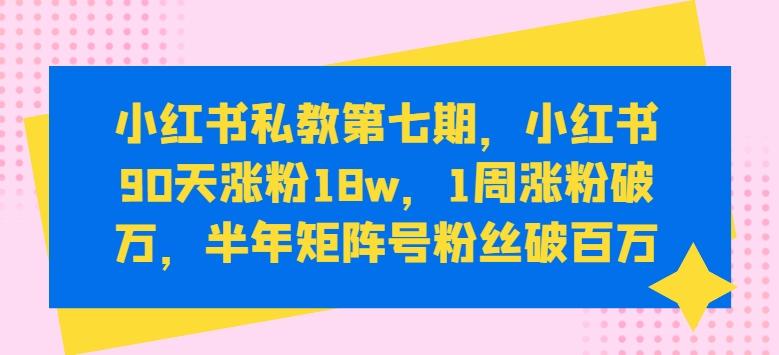 小红书私教第七期，小红书90天涨粉18w，1周涨粉破万，半年矩阵号粉丝破百万-副业网创