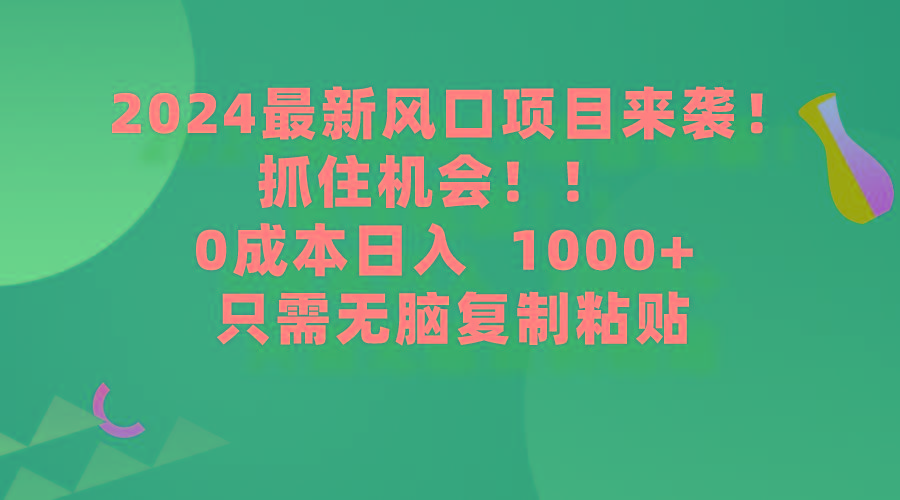 (9899期)2024最新风口项目来袭，抓住机会，0成本一部手机日入1000+，只需无脑复…-副业网创