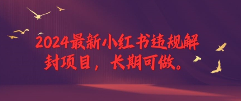 2024最新小红书违规解封项目，长期可做，一个可以做到退休的项目【揭秘】-副业网创