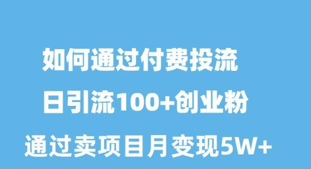 如何通过付费投流日引流100+创业粉月变现5W+-副业网创